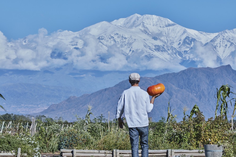 Ruca Malen huerta image